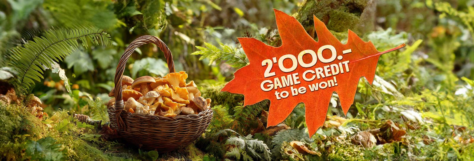 Concorso a premi ottobre Cesto con funghi