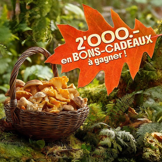 Tirage panier rempli de champignons