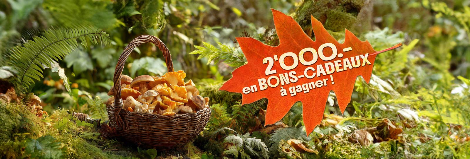 Jeu-concours d'octobre Panier de champignons Concorso a premi ottobre Cesto con funghi